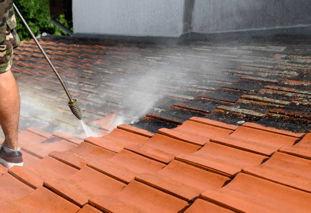 Best Residential Pressure Washing Services  in Palmer Ranch, FL