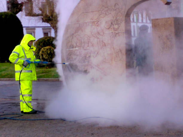 Best Local Pressure Washing Services  in Palmer Ranch, FL